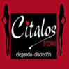 Citalos D´copas Puntal, El (Espinardo) logo