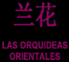 Orquidea Orientales Valencia logo