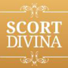 Scort Divina Madrid logo